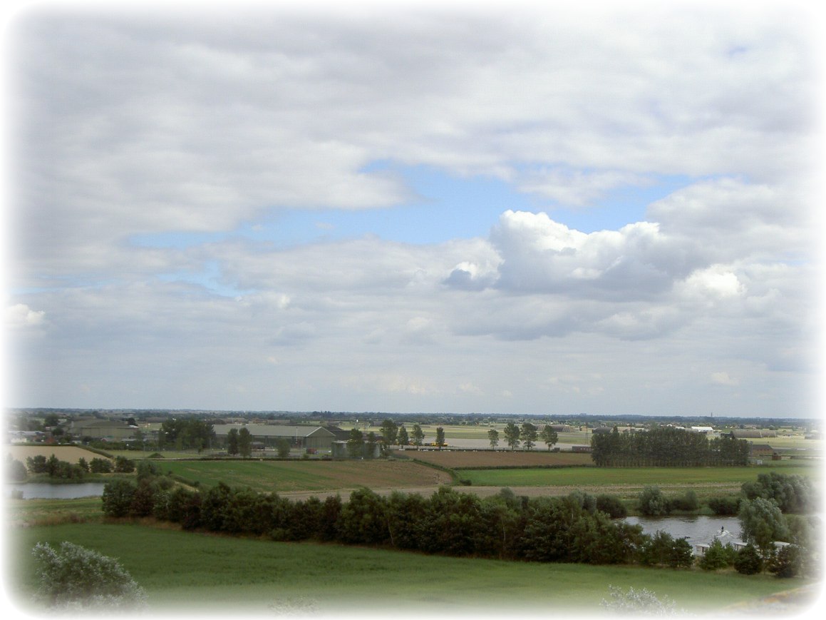 Agriculture