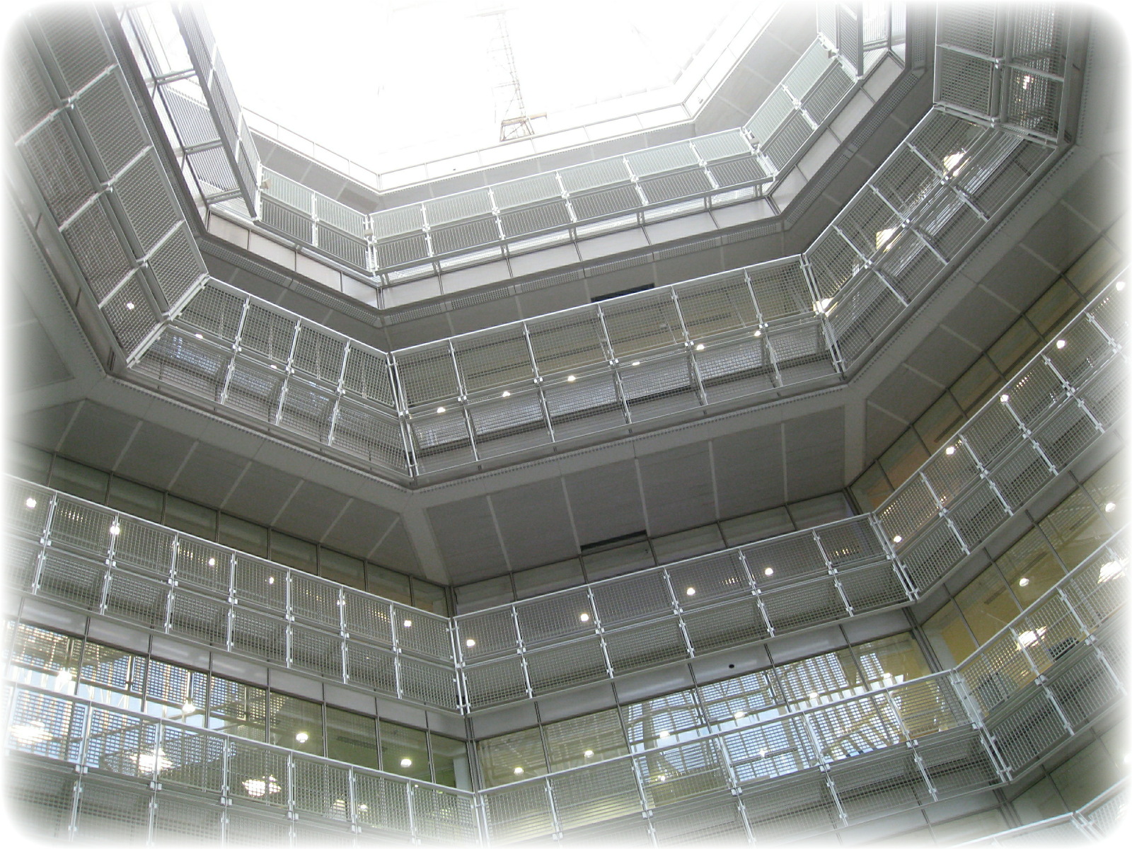 Main Reception, Looking Skyward